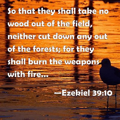 Ezekiel 3910 So That They Shall Take No Wood Out Of The Field Neither