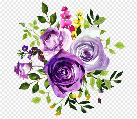 Ilustraci N De Tres Flores Flor Violeta Acuarela Pintura Violeta