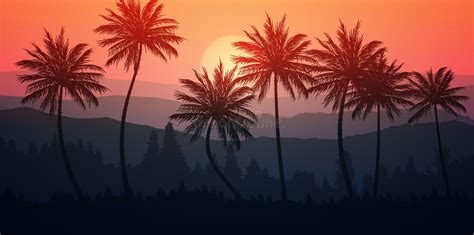 Natural Coconut Trees Silhouettes Of Trees Evening Sunrise And Sunset