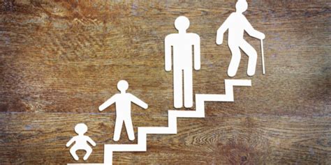 Teorias sobre o desenvolvimento humano: conheça as 6 principais
