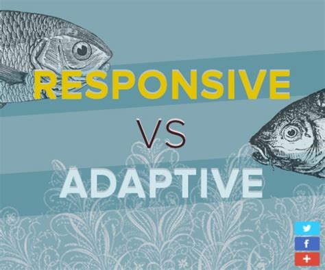 Dise O Responsive Vs Adaptive Cu L Es Mejor Otri Spin Offs