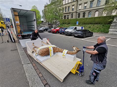 Eine Giraffe Auf Grosser Fahrt Ausblick Art Basel R Ckblick Auf