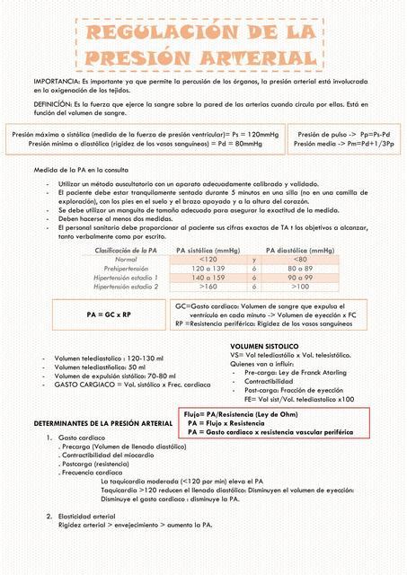 RegulaciÓn De La PresiÓn Arterial Danitza Huamaní Udocz