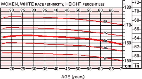 Average height for women (and weight)