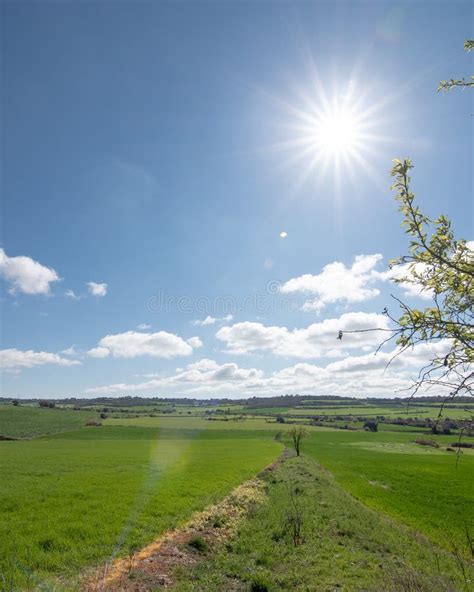 Landschap Van Groene Velden Met Blauwe Lucht En Wolken Stock Foto