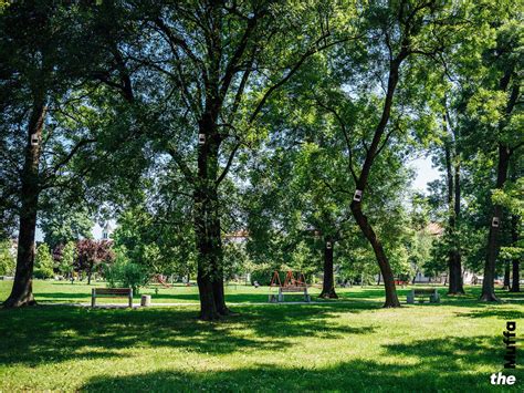 A Milano 300 Sensori Sugli Alberi