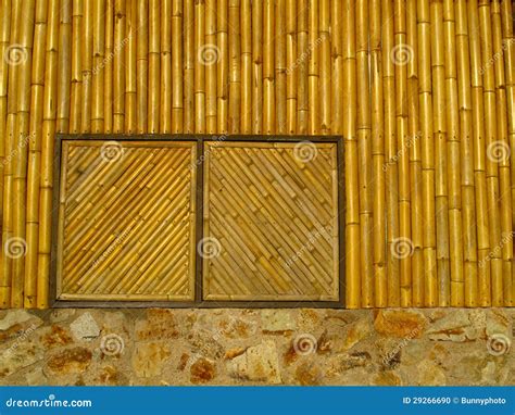 bamboo window stock photo image  nature tree diagonal