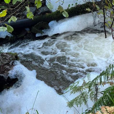 Ecologistas Denuncian Un Vertido De Procedencia Industrial En El R O