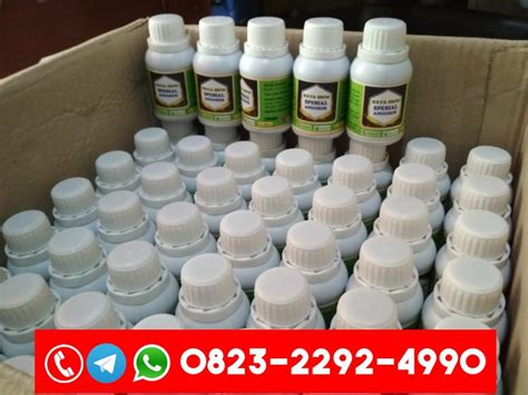 ORGANIK O823 2292 499O TOKO Pupuk Anggrek Agar Cepat Berbunga