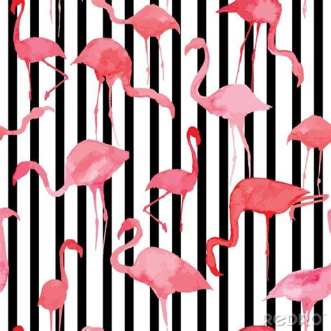 Poster Rosa Flamingos Mit Streifen Im Hintergrund Nach Ma Myredro De