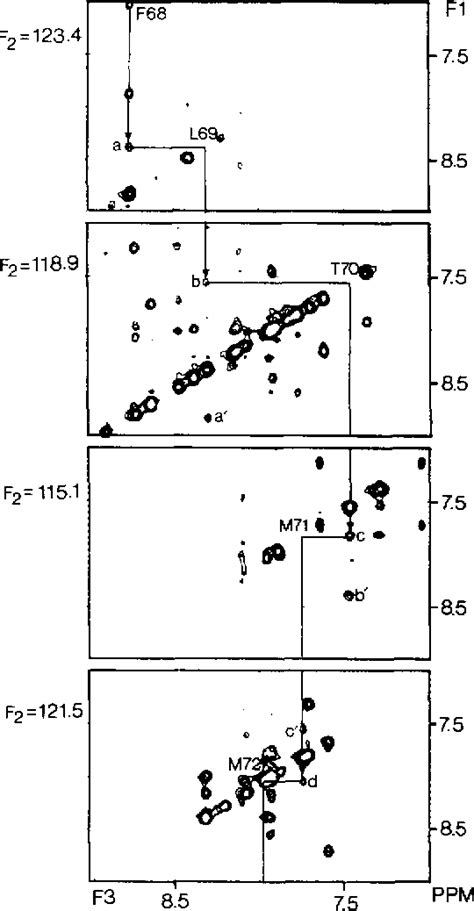 Figure 3 From Heteronuclear 3d Nmr And Isotopic Labeling Of Calmodulin