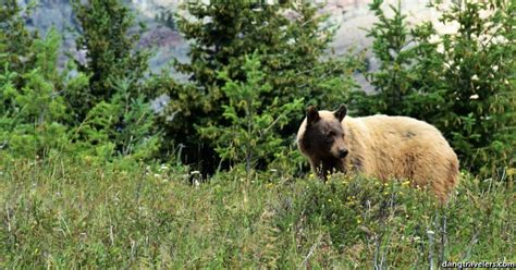 A Day in Waterton Lakes National Park – Dang Travelers