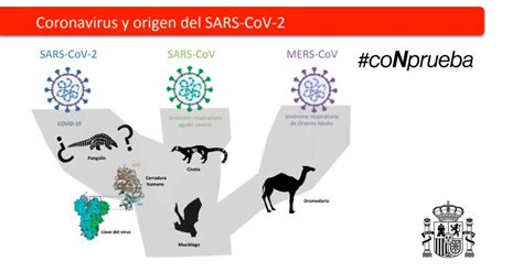 Donde Se Origino La Enfermedad Estúdio Bíblico Explicación Sitio De Dios