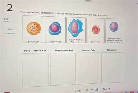 Solved Place Each Cell And Its Description Under The Name Chegg