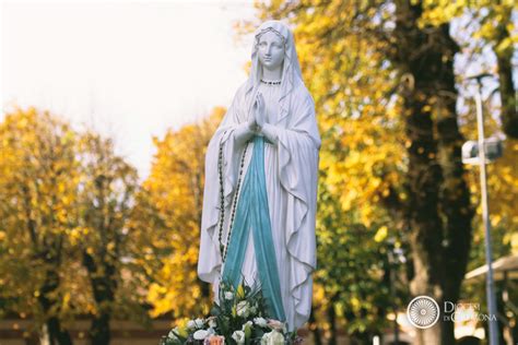 La Vergine Di Lourdes Pellegrina A Caravaggio Nel Suo Volto La Gioia