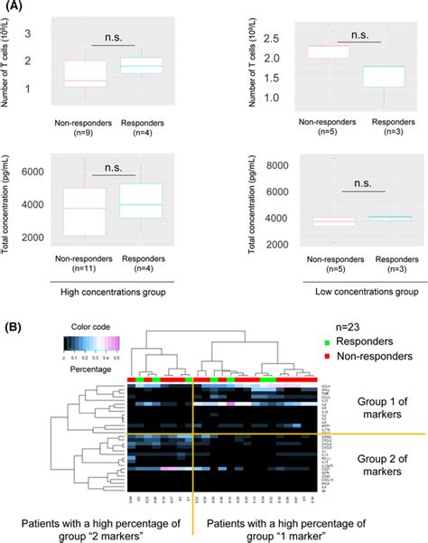 A Comparison Of The Number Of Tcells And Total Concentration E G