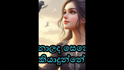 ආදරයට ආදරේ කරන්න ️ ️ Sinhala Adara Wadan Lovedreamsmadu Youtube