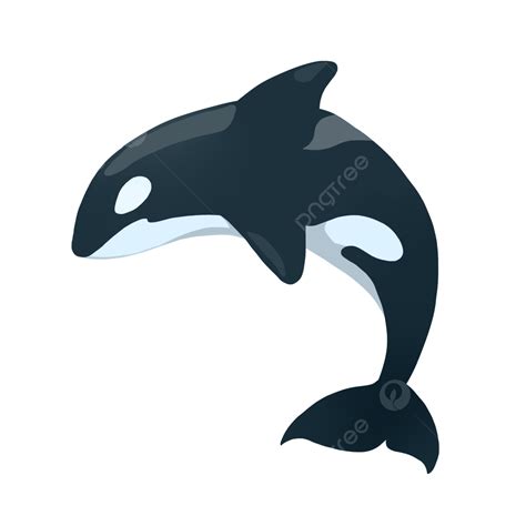 Orca Clipart, PNG Transparent Background, 53% OFF