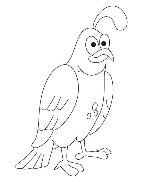 Quail Coloring Pages Coloring Home