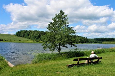 Gaurata Ezers Dobeles Pagasts Dobeles Novads Ceļvežilv