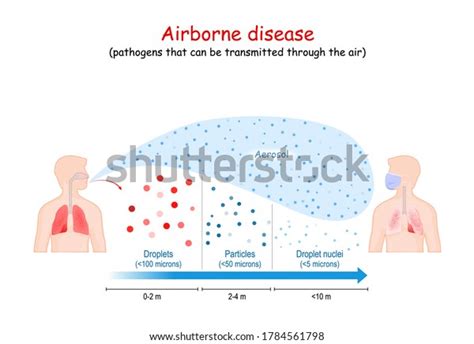 Airborne Disease Virus Humantohuman Transmission Contamination Stock ...