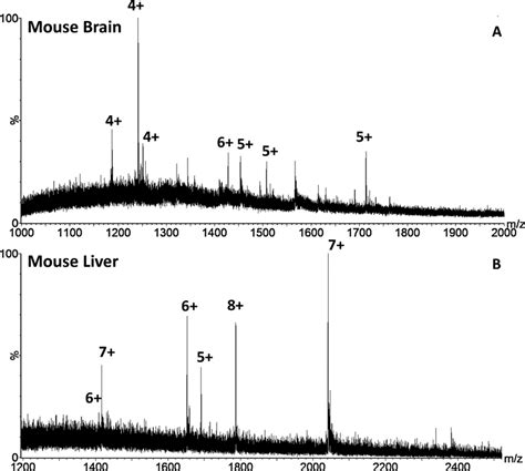 Native Lesa Mass Spectrometry Of Thin Tissue Sections Of A Mouse