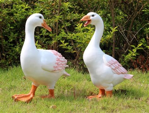 Curiosidades Sobre Gansos Os Melhores C Es De Guarda Do Mundo