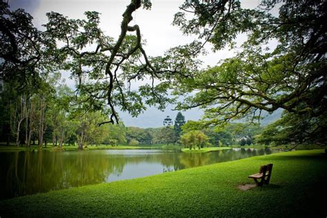 Tarikan Apa Ada Di Taman Tasik Taiping Utk 2021 Peta Ke Sini