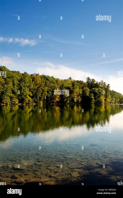 Early Fall Lake Reflection Of Trees At Chanango Valley State Park In