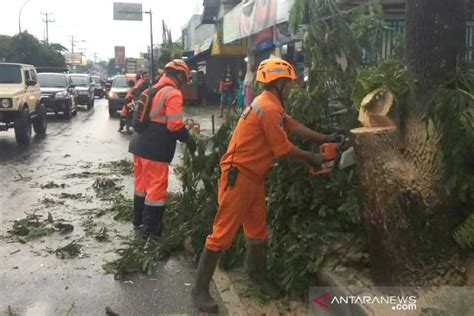 Bpbd Waspadai Pohon Tumbang Di Kota Tasikmalaya Antara News