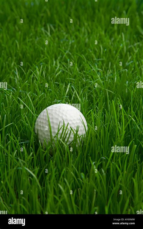 Lost Golf Ball High Resolution Stock Photography And Images Alamy