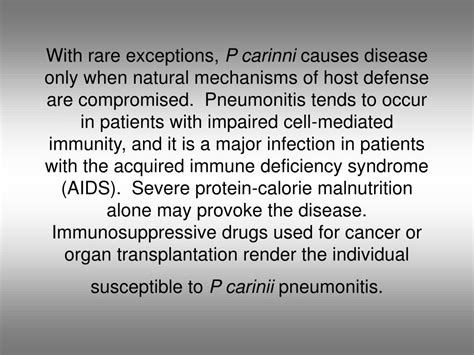 Ppt Pneumocystis Carinii Powerpoint Presentation Free Download Id6693306