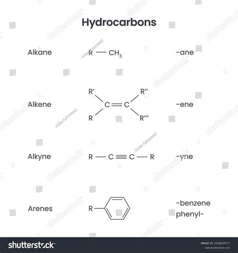 Hydrocarbon Functional Groups Biochemistry Science Vector Stock Vector ...