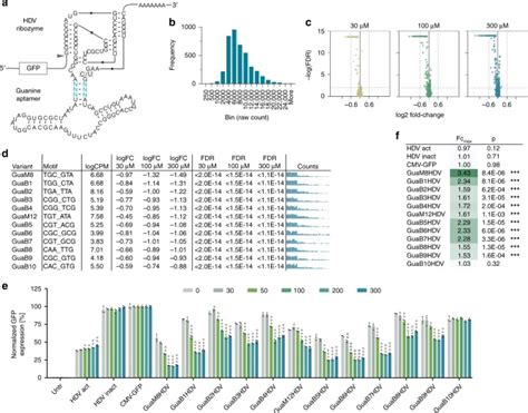 High Throughput Identification Of Synthetic Riboswitches By Barcode