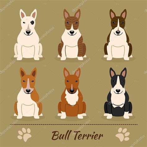 Different colors English Bull Terrier — Stock Vector © ma_llina #107897238