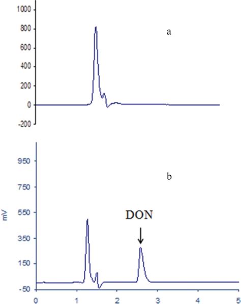 HPLC Chromatograms Of A Blank Bread And B DON Standard 1000 Ng ML