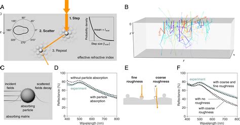 Designing Angle Independent Structural Colors Using Monte Carlo