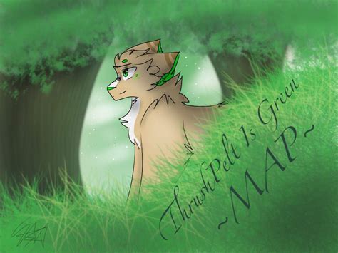 Warriorcats MAP Ideas Animation Art MAP Amino