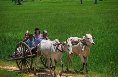 Siem Reap Tour