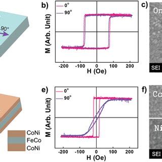 Hysteresis Loops In The Easy And Hard Axis And Scanning Electron