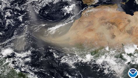 How Saharan dust regulates hurricane rainfall | Stanford Report