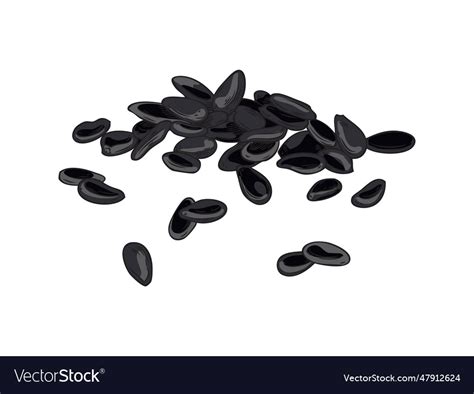 Sesame Seed Black Pile Cartoon Royalty Free Vector Image