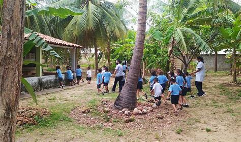 Especialista Em Inclus O Professora Cria Horta Sensorial Para