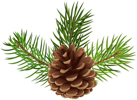 free clip art pine cones 9 free Cliparts | Download images on
