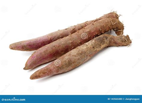 Fresh Dioscorea Alata Root Stock Photo Image Of White 143565480