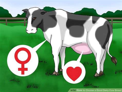 CONCEPT OF BREEDING METHODS IN COMMERCIAL DAIRY CATTLE | Pashudhan praharee