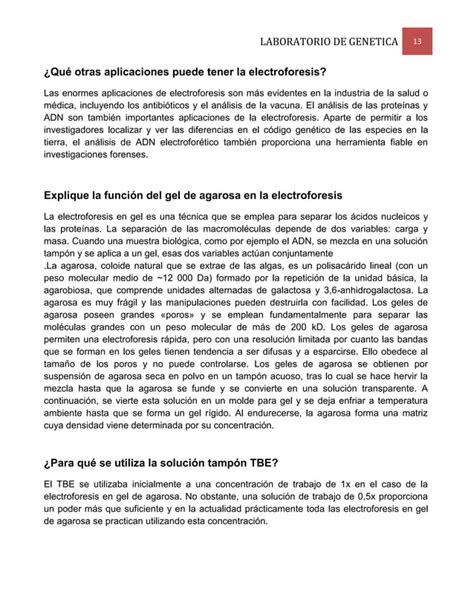 Electroforesis De Acidos Nucleicos En Geles De Agarosa Genetica Unah