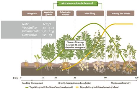 Results Sqm Specialty Plant Nutrition