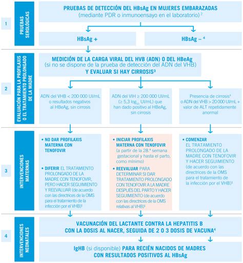 RESUMEN Prevención de la Transmisión Maternoinfantil del Virus de la