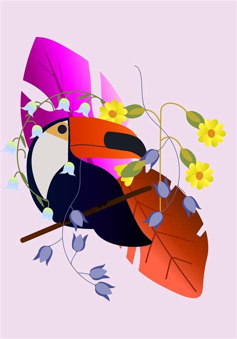 Download Toucan, Bird, Animal. Royalty-Free Stock Illustration Image - Pixabay